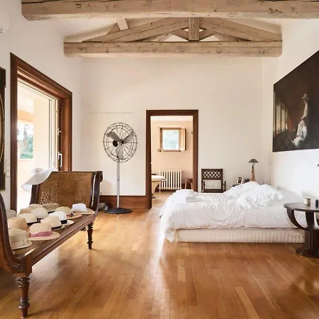 Frona * Saint-Tropez